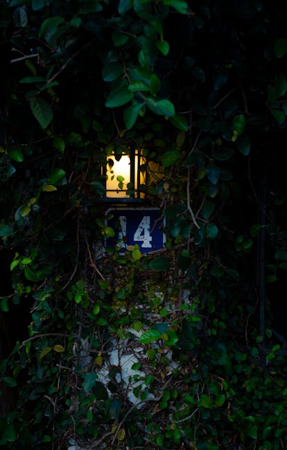 Comprehensive Mutual Fund Analysis